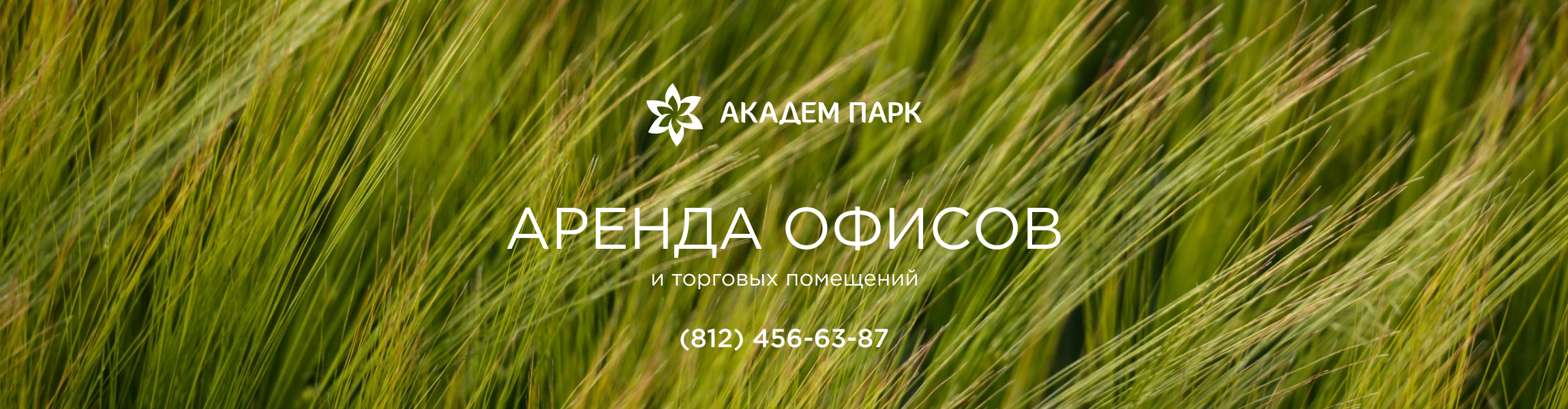 Аренда в ТРК Академ Парк